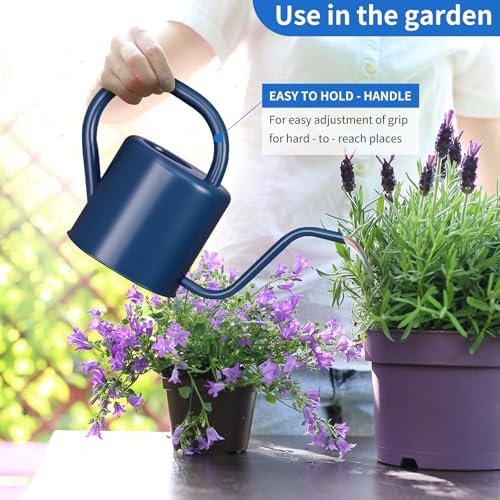 Watering Can, Stainless Steel Watering Can for Indoor & Outdoor Plants, 1L/35oz Long Spout Water Can with Handle, Rust-Proof Plant Watering Pot for House Plants, Garden Flowers - Image 5