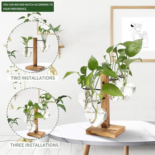 Plant Terrarium Propagation Stations with Wooden Stand - Image 5