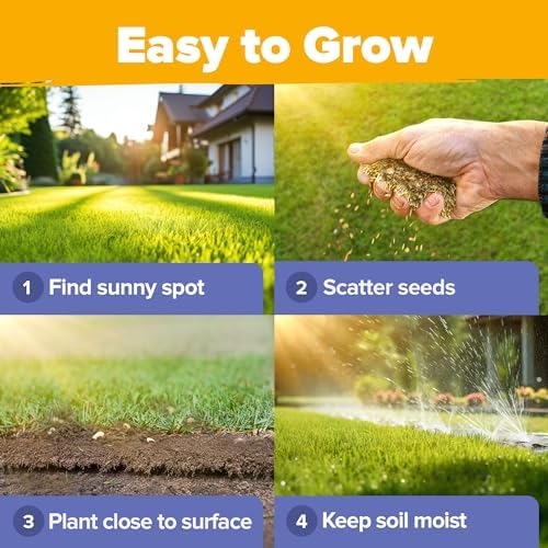 HOME GROWN 19 Wildflower Variety Mix 47,400+ Flower Seeds 3 oz - Image 7