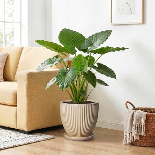 Ceramic Planter, 10 Inch Plant Pot for Large Indoor Plants, Beige - Image 4