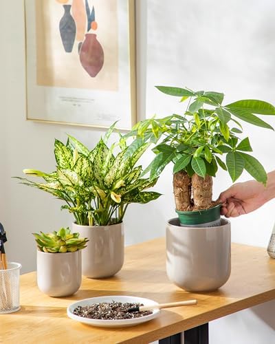 vancasso Ceramic Plant Pots, 4+5+6 inches, Set of 3, Planters with Drainage Hole, Flower Pots Planters Pots for Indoor Plants, Modern Indoor Decorative Garden Pot, Home Decor, Gray - Image 6