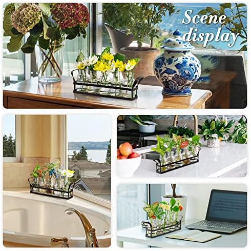 Propagation Stations Indoor Decor Planters Terrarium with Stand,Propogation Planter Glass with 5 Air Plant Terrarium for House Plants Hydroponic Home Garden Office Decoration - Image 5