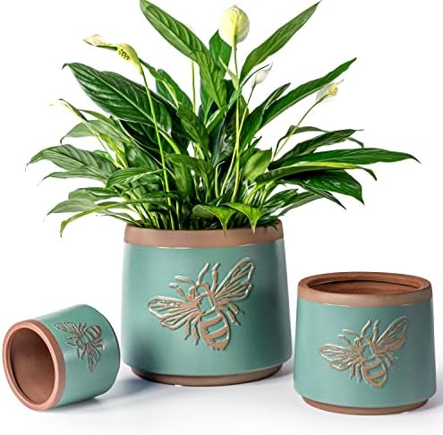 Terracotta Pots, 8+6+4 Inch Plant Pots, 3 Pcs with Drainage Holes by YBXYIBOXUAN