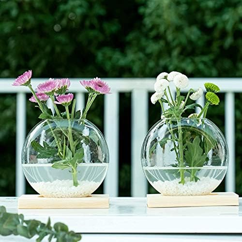 Kingbuy Round Glass Desktop Planter with Wooden Stand - Propagation Vase for Hydroponic Plants, Spider Plants, Pothos in Home Office Decor, 2-Pack, Beige - Image 4