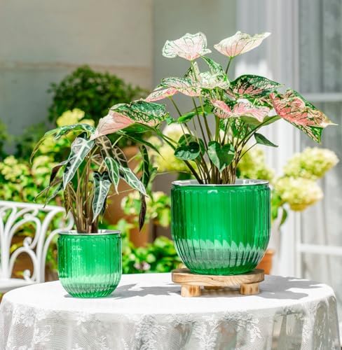Melphoe Self Watering Pots for Indoor Plants Planter, 8.3/5.3 Inch 2 Pack Planters Self Watering Plant Pots for Flower, Houseplants, Succulent, African Violets and Cactus with Drainage - Image 3