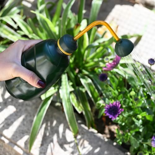2Pack Watering Can for Seedlings,15oz/450ml(Green) - Image 4