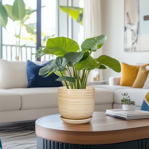 Ceramic Planter for Indoor Plants 7 Inch - Cylinder Modern Indoor Plant Pot with Drainage Hole and Saucer, Home Patio Office Bathroom Decor, Yellow - Image 2