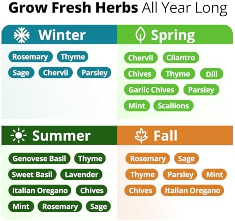 15 Culinary Herb Seeds - Heirloom & Non GMO - High Germination Rate - Seeds for Planting Indoor Hydroponic or Outdoor Herbs Garden | Gardening Gift Men Women Gardeners - Basil, Cilantro, Mint - Image 4