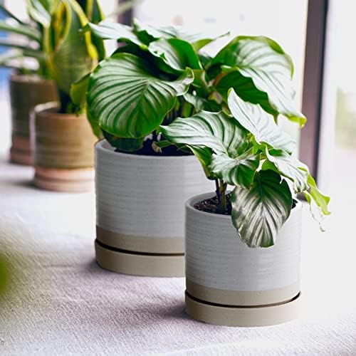 HERDUK 6 + 8 Inch Plant Pots, Ceramic Planter Pot with Drainage Hole & Saucer, Indoor/Outdoor Cylinder Round Planter Pot, Cream & Beige - Image 2