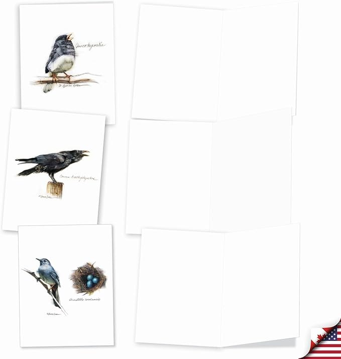 The Best Card Company - 20 Blank Bird Notes with Envelopes - All Occasion Wildlife Nature Animal Card Assortment (10 Designs, 2 Each) - Birds Watching AM3199OCB-B2x10