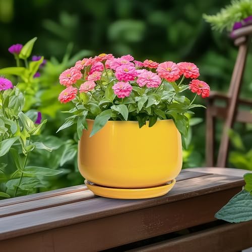 G EPGardening Ceramic Plant Pot - 6 Inch Ceramic Planter with Drainage Hole and Tray, Modern Round Planter, Flower Pot for Indoor Outdoor Plants, Plants Lovers Gifts, House Garden Decor, Yellow - Image 4