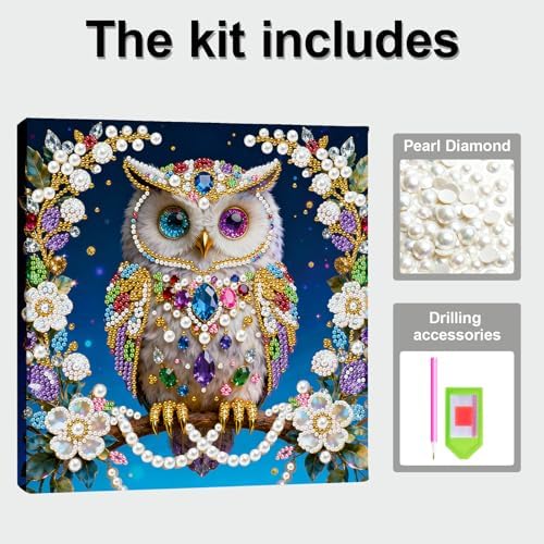 Xylzzuit Pearl Painting Kit with Frame All Inclusive 9.84x9.84IN DIY Gemstone Diamond Art Craft Supplies for Adults Beginners Craft Lovers Living Room Wall Desktop Decor Gift (Owl) - Image 5