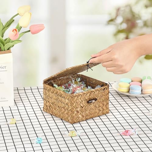 Hipiwe Wicker Shelf Basket Bin with Lid X-small Square Seagrass Storage Box - Image 4