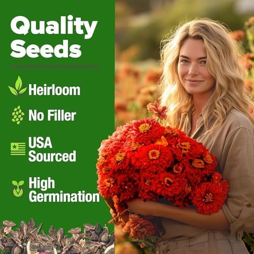 HOME GROWN Zinnia Seeds, Will Rogers, 150 Seeds, Zinnia elegans - Image 2