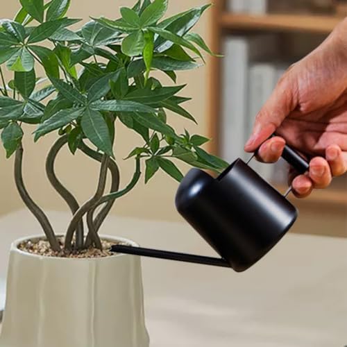Mini Watering Can Stainless Steel Long Spout 10oz/300ml Small Watering Can for Indoor Desk Plants Outdoor Flowers Succulents Garden Watering Pot Gardening Tool（Black） by Luxmars