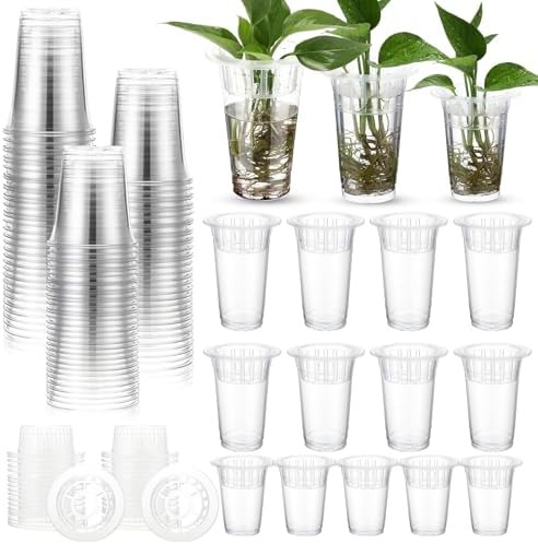 Baderke 35 Pcs Plastic Plant Propagation Vase for Indoor Decor by Baderke