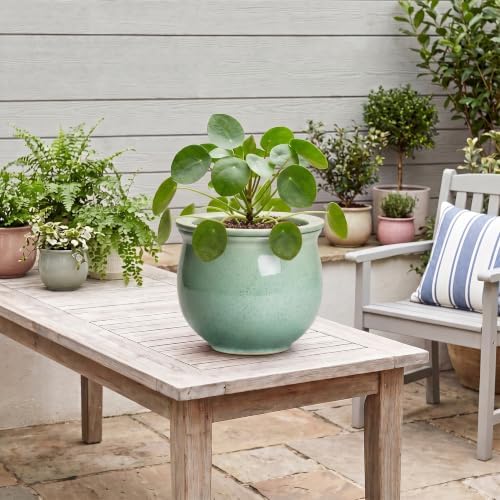 Ceramic Self Watering Planter, 8 Inch African Violet Pots, Green - Image 5