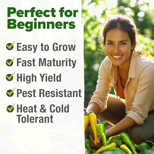 HOME GROWN Banana Pepper Seeds, 94+ Seeds, Capsicum annuum - Image 4