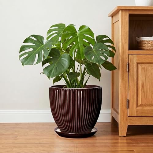 Ceramic Pots for Plants 10 Inch, Indoor Planter with Drainage Hole and Saucer, Large Round Decorative Ceramic Plant Pots, Modern Flower Planter, Patio Room Decor, Gifts for Plant Lovers, Brown - Image 6