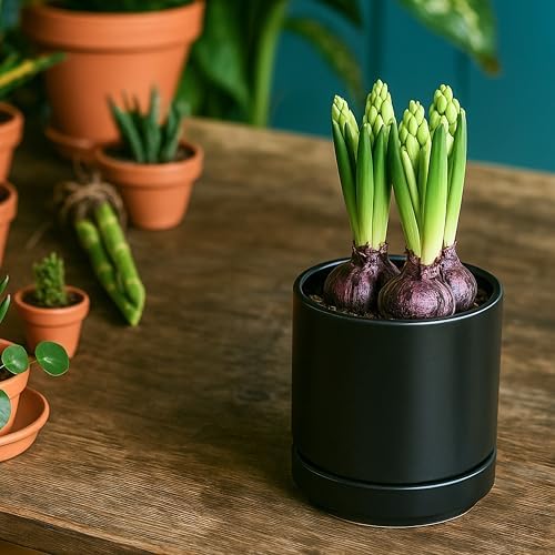 D'vine Dev 4.7 Inch Ceramic Planter Pot, Black, 94-O-B-2 - Image 5
