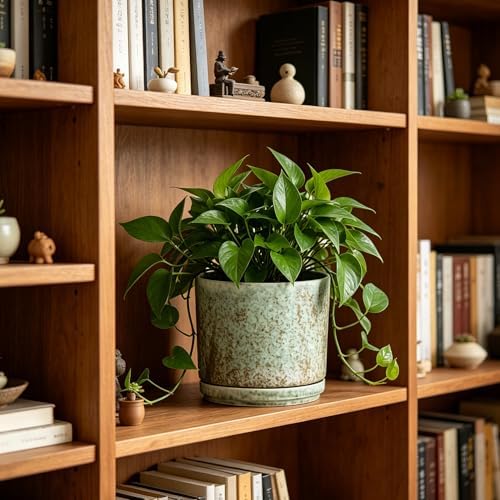 Ekirlin 7 Inch Modern Plant Pot, Ceramic Glaze Planters for Indoor Plants, Round Flower Pots with Drainage Hole and Saucer, Orchid Planter Pot for Succulent, Pothos, Snake Plant,Gift for Plant, Green - Image 4