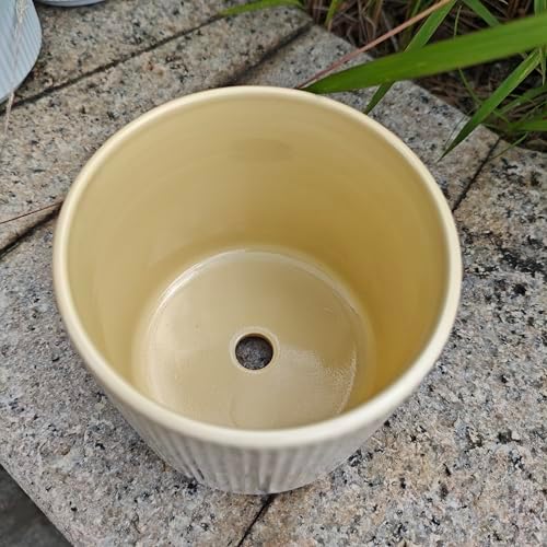 Cuteforyou 3.75 Inch Modern Textured Ceramic Succulent Planter Pot (No Plant Included) – Perfect for Small Plants, Cacti & Desk Decor – Lightweight & Durable，Yellow - Image 5
