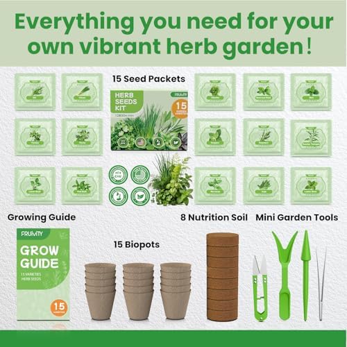Herb Garden Starter Kit – Fruivity 12800+ 15 in 1 Herb Heirloom Seed Kits for Indoor/Outdoor Planting | Herb Indoor Garden Kit Starter - Complete Herb Garden Starter Set with Gift Packaging for Family - Image 3