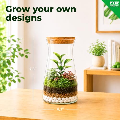 Terrarium Kit for Plants DIY - Image 4