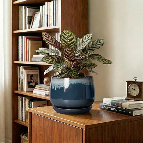 7 Inch Plant Pot Indoor, Ceramic Plant Pots, Retro Blue - Image 5