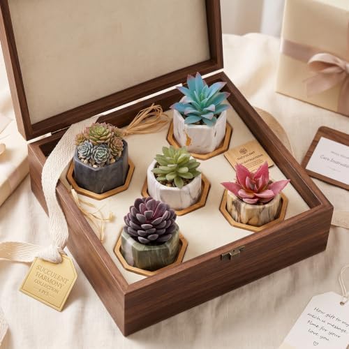 Ziliny Marbling Ceramic Flower Pot Succulent Small Plant Cactus Herbs Planter Ceramic Pot with Drainage Hole Matte Container(6 Pcs,Hexagon Style) - Image 4