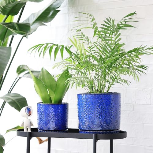 8 Inch + 6 Inch Indoor Plant Pot with Drainage Holes and Saucers, Ceramic Planter for Plants Succulent Orchid Flower Pots - Image 5