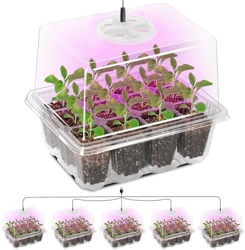 Bonviee Seed Starter Trays with 12-LED Grow Lights, Clear, 5 Pack by BonvieeDirect