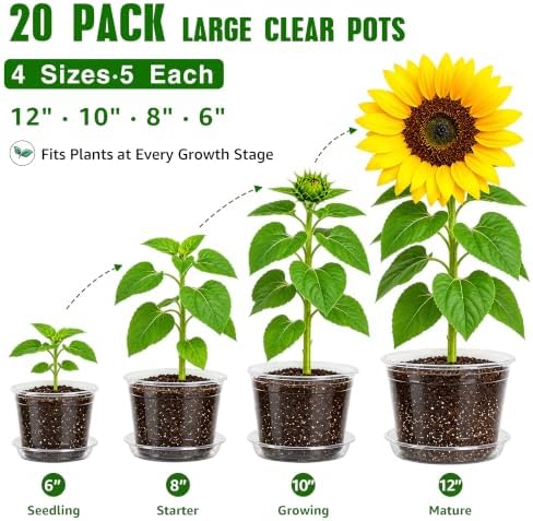 Bluepro Clear Nursery Pots with Saucers, 6/8/10/12 Inch, 20-Pack - Image 6