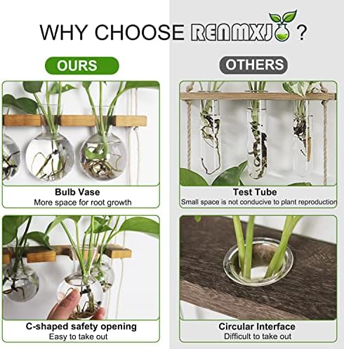 Renmxj Plant Propagation Station Wall Hanging with 2 Tiered Wooden Stand - Image 4