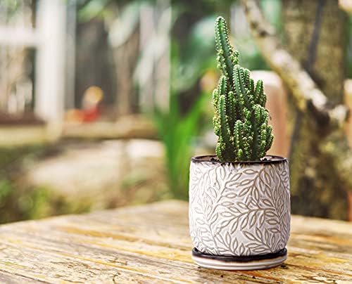 D'vine Dev Embossed Leaves Ceramic Planter, 4 in, Smoked White, 27-A-Z-1 - Image 5