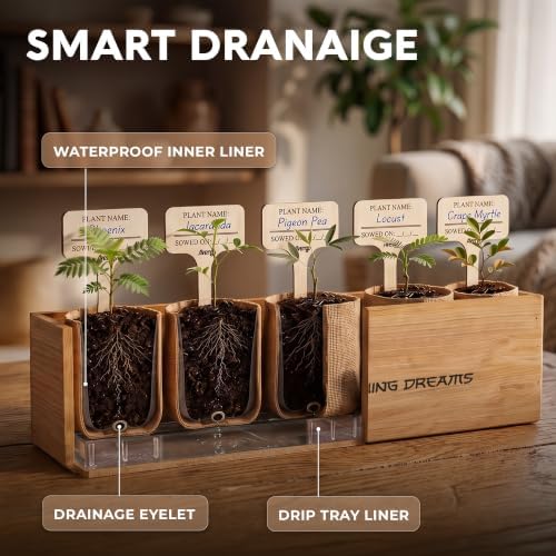 Bonsai Tree Kit Deluxe - Growing 5 Unique Japanese Bonzai Trees - Image 5