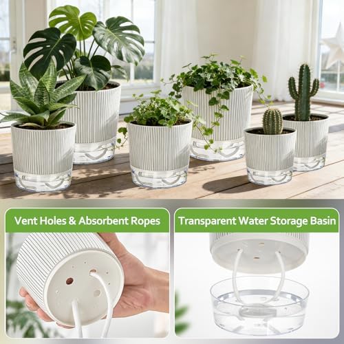 6 Pack Self Watering Pots for Indoor Plants, 4/5.5/6.3 Inch Flower Pots - Image 3