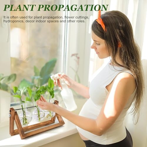 Renmxj Plant Propagation Station, Plant Terrarium with Wooden Stand - Image 4