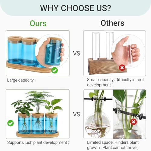 Dahey Plant Propagation Stations, Glass Vases with Wooden Stand & Lid, Blue - Image 6