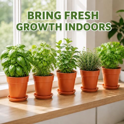 Herb Garden Kit, Indoor Herb Garden Starter Kit with Pots & Herb Seeds, Beautiful Gift Box, Gardening Gift for Women & Mom, Birthday, Christmas & Housewarming - Image 3
