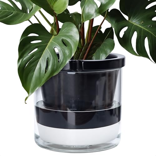 D'vine Dev Self-Watering Black Terracotta Planter Pot, 10 in, 37-X-D-3 by DvineDevPlanterPotsandStand