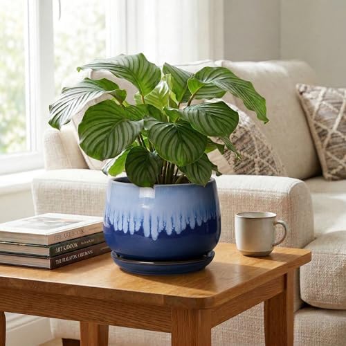 Ceramic Pots for Plants, 9 Inch Indoor Planter, Deep Blue - Image 5