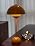 Modern Flower Bud Lamp,Big Mushroom Table Lamp, 20" Tall, Plug-In, Chrome - Image 5