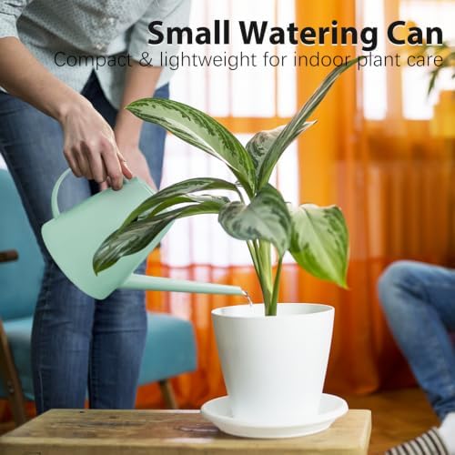 60 oz Watering Can, Small Watering Can for Indoor Plants with Long Spout - Image 3