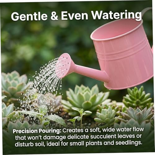 Indoor Watering Can Small Watering Can, Iron Metal with Mesh Spout Vintage Style House Plant Pot Decorative & Functional for Flowers and Plants - Image 3