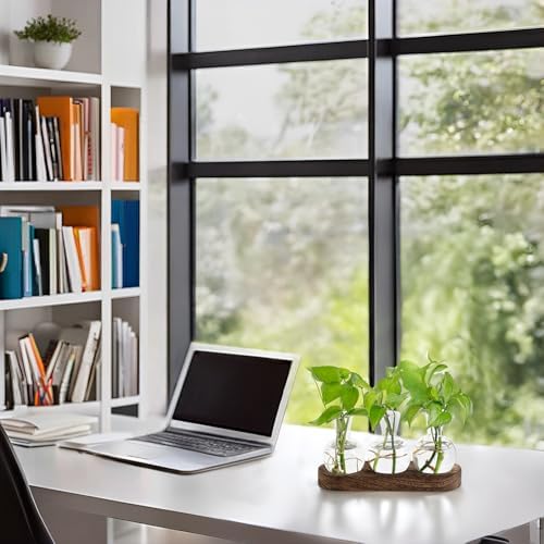 Mkono Plant Propagation Station, Desktop Glass 3 Bulb Vase Brown Wood Tray - Image 3