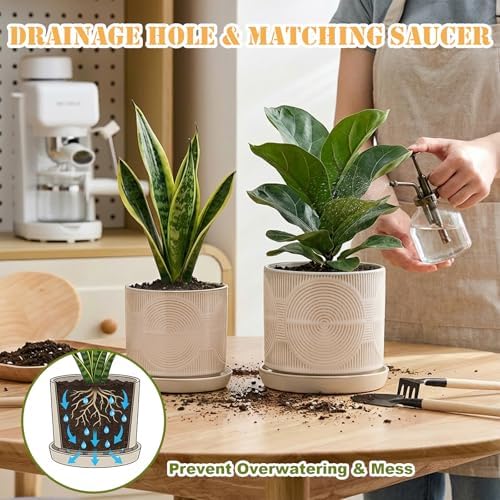 Ceramic Plant Pots, Modern Flower Pots, 4.5+5.5 Inch Small Plant Pots - Image 2