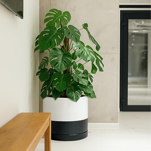 D'vine Dev 14 Inch Ceramic Planter Pot, Black White Two Tone, 94-O-G-L - Image 6