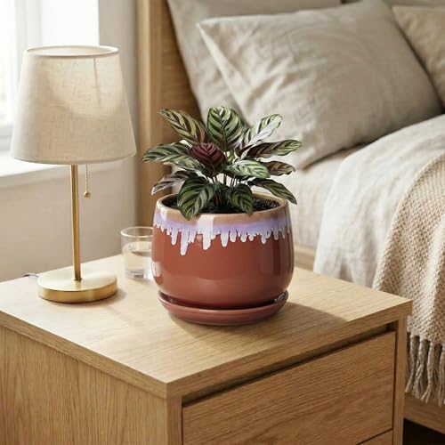 Ceramic Plant Pot - 6 Inch Planters for Indoor Plants, Round Ceramic Planter with Drainage Hole and Saucer, Decorative Small Plant Pots, Room Bookshelf Decor, Red-Purple - Image 6
