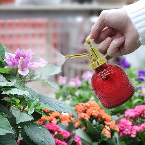 Glass Plant Mister Spray Bottle, 230ML Vintage Plant Spritzer, Succulent Watering Bottle Glass with Top Pump, Small Plants Sprayer Watering Can for Indoor Outdoor House(Red) - Image 2